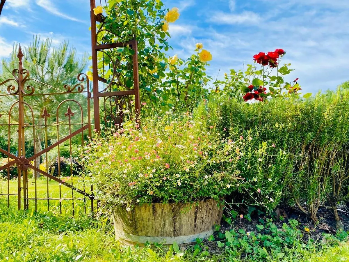 Le Gite Du Castelbosc Hagedet France